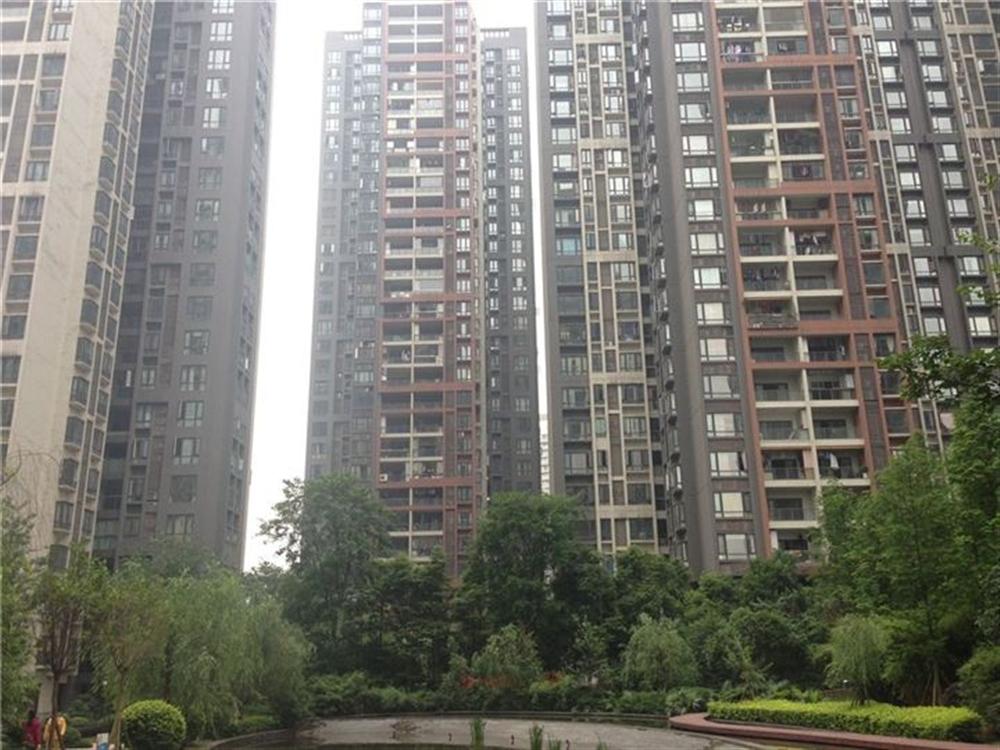 鲁能星城十二街区十二街区