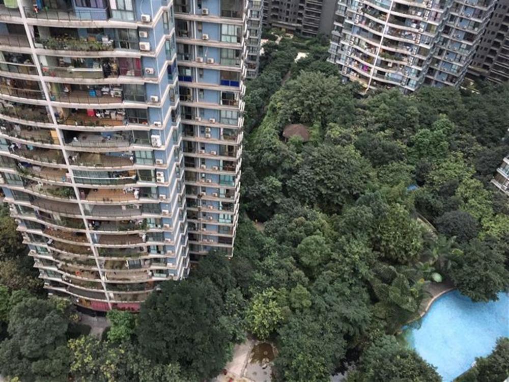 海棠晓月蓝滨城 2房出租 1800