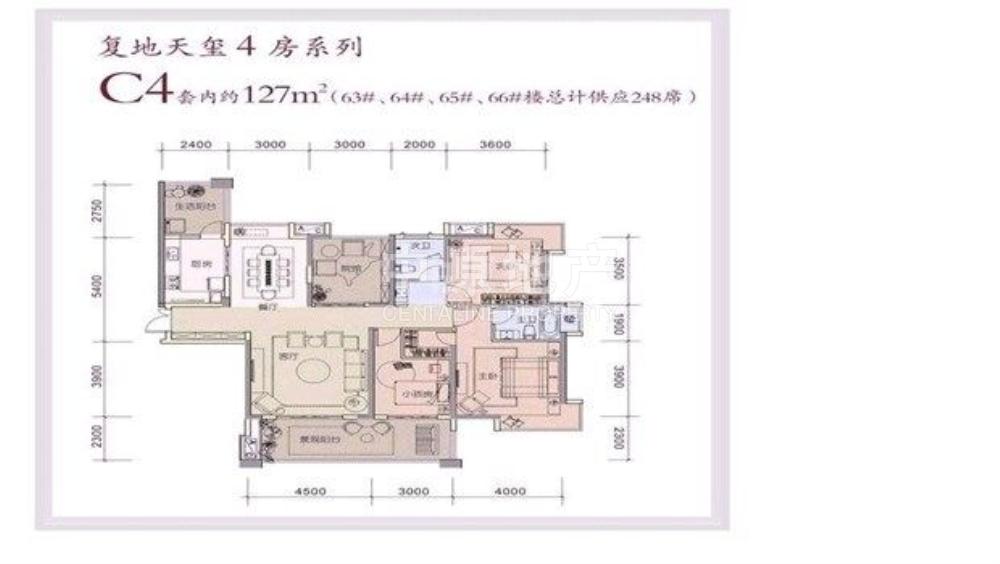 复地天玺 正规四房加超大阳台 采光通透 朝一线视野 外圈